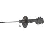 Autopart International Strut Assembly 2701314386