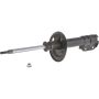 Autopart International Strut Assembly 2701314387
