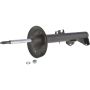 Autopart International Strut Assembly 2701314388