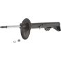 Autopart International Strut Assembly 2701314389