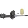 Autopart International Strut Assembly 2701316355
