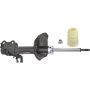 Autopart International Strut Assembly 2701316356