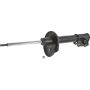 Autopart International Strut Assembly 2701316357