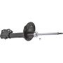 Autopart International Strut Assembly 2701316358