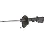 Autopart International Strut Assembly 2701316359