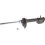Autopart International Strut Assembly 2701316360