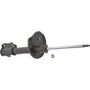 Autopart International Strut Assembly 2701316361