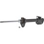 Autopart International Strut Assembly 2701316362