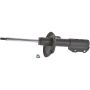 Autopart International Strut Assembly 2701316364