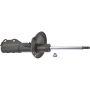 Autopart International Strut Assembly 2701316365