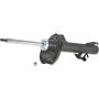 Autopart International Strut Assembly 2701316366