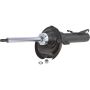 Autopart International Strut Assembly 2701316367