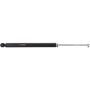 Autopart International Shock Absorber 2701316368