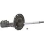 Autopart International Strut Assembly 2701317183