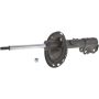Autopart International Strut Assembly 2701317184
