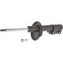 Autopart International Strut Assembly 2701317185
