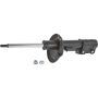 Autopart International Strut Assembly 2701317186