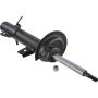 Autopart International Strut Assembly 2701321054
