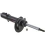 Autopart International Strut Assembly 2701321057