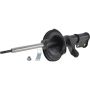 Autopart International Strut Assembly 2701322041