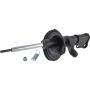 Autopart International Strut Assembly 2701322043