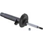 Autopart International Strut Assembly 2701335089