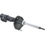 Autopart International Strut Assembly 2701412058