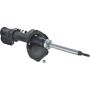 Autopart International Strut Assembly 2701412059