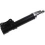 Autopart International Strut Assembly 2701412088