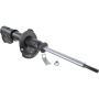 Autopart International Strut Assembly 2701412093