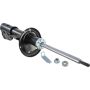 Autopart International Strut Assembly 2701412095