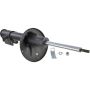 Autopart International Strut Assembly 2701412099