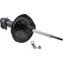 Autopart International Strut Assembly 2701412102