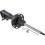 Autopart International Strut Assembly 2701412105