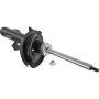 Autopart International Strut Assembly 2701412109