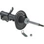 Autopart International Strut Assembly 2701412115
