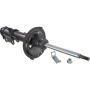 Autopart International Strut Assembly 2701412118