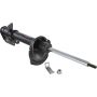 Autopart International Strut Assembly 2701412119