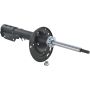 Autopart International Strut Assembly 2701423320