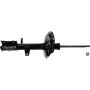 Autopart International Strut Assembly 2701423326