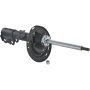 Autopart International Strut Assembly 2701423329