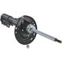 Autopart International Strut Assembly 2701423330