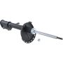Autopart International Strut Assembly 2701423334