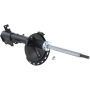 Autopart International Strut Assembly 2701423337