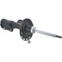Autopart International Strut Assembly 2701423339