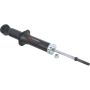 Autopart International Strut Assembly 2701423342
