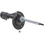 Autopart International Strut Assembly 2701423370