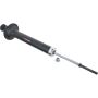Autopart International Strut Assembly 2701423393