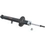 Autopart International Strut Assembly 2701423396