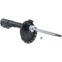 Autopart International Strut Assembly 2701423404